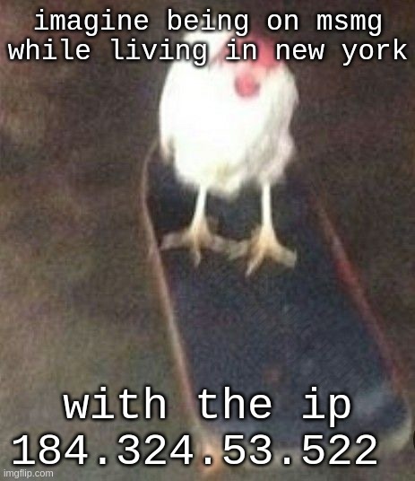 read between the lines | imagine being on msmg while living in new york; THIS IS A JOKE NOTHING IS REAL DONT SHIT URSELF; with the ip 184.324.53.522 | image tagged in dog on skateboard | made w/ Imgflip meme maker