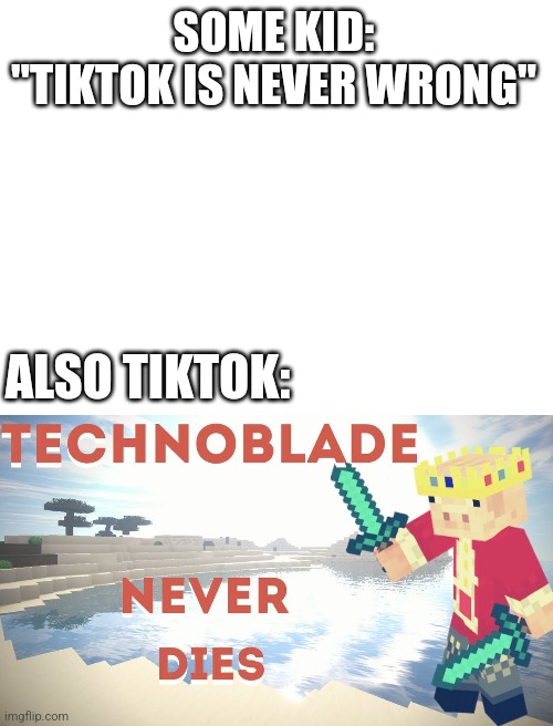 Technoblade never dies, don't listen to this meme I made | SOME KID: "TIKTOK IS NEVER WRONG"; ALSO TIKTOK: | image tagged in sad,technoblade,meme | made w/ Imgflip meme maker