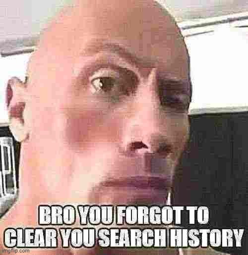 shitpost | image tagged in the rock,eyebrow raise,memes,meme,funny | made w/ Imgflip meme maker