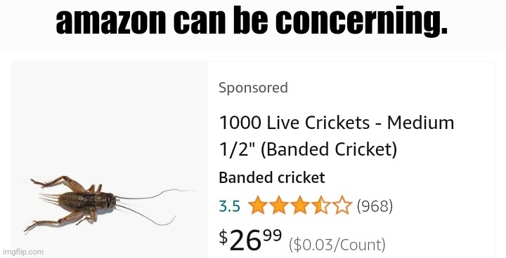 amazon can be concerning. | made w/ Imgflip meme maker