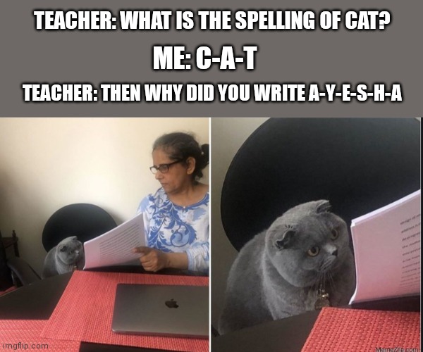 Then why did you write | TEACHER: WHAT IS THE SPELLING OF CAT? ME: C-A-T; TEACHER: THEN WHY DID YOU WRITE A-Y-E-S-H-A | image tagged in then why did you write | made w/ Imgflip meme maker