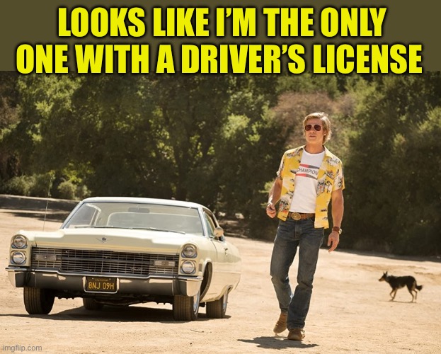 Brad Pitt Once Upon a Time in Hollywood | LOOKS LIKE I’M THE ONLY ONE WITH A DRIVER’S LICENSE | image tagged in brad pitt once upon a time in hollywood | made w/ Imgflip meme maker