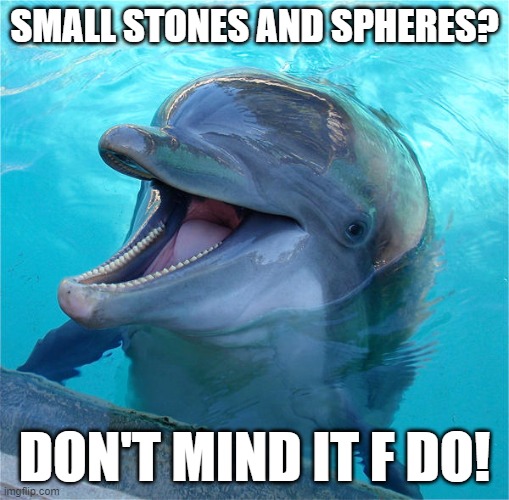 image tagged in dolphin | made w/ Imgflip meme maker