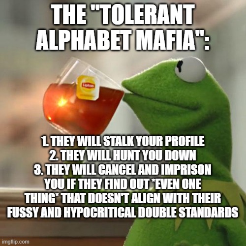 But That's None Of My Business Meme | THE "TOLERANT ALPHABET MAFIA": 1. THEY WILL STALK YOUR PROFILE
2. THEY WILL HUNT YOU DOWN
3. THEY WILL CANCEL AND IMPRISON YOU IF THEY FIND  | image tagged in memes,but that's none of my business,kermit the frog | made w/ Imgflip meme maker
