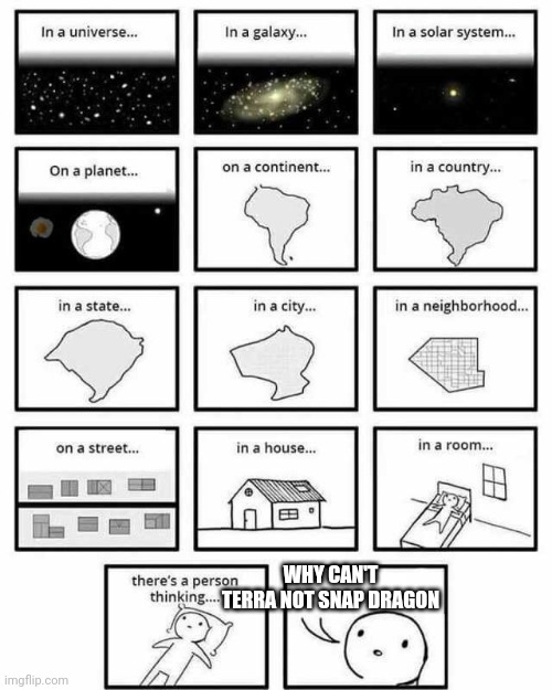 in a universe in a galaxy person thinking | WHY CAN'T TERRA NOT SNAP DRAGON | image tagged in in a universe in a galaxy person thinking | made w/ Imgflip meme maker