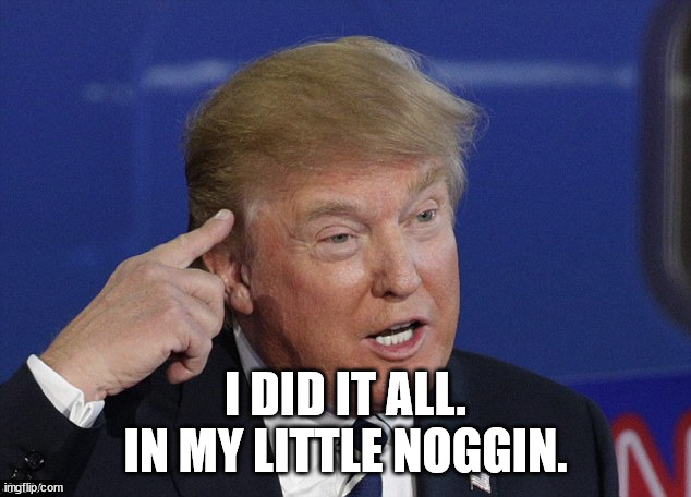 Trump pointing self | I DID IT ALL.
IN MY LITTLE NOGGIN. | image tagged in trump pointing self | made w/ Imgflip meme maker