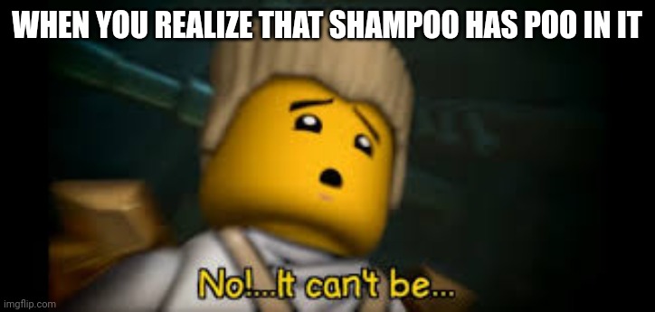NOOOOOOOO | WHEN YOU REALIZE THAT SHAMPOO HAS POO IN IT | image tagged in it cant be | made w/ Imgflip meme maker