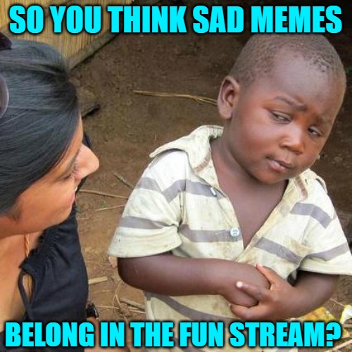 Third World Skeptical Kid Meme | SO YOU THINK SAD MEMES BELONG IN THE FUN STREAM? | image tagged in memes,third world skeptical kid | made w/ Imgflip meme maker