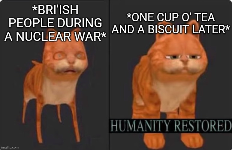 Seriously, a cup of tea and a biscuit solves everything here. (Not) | *ONE CUP O' TEA AND A BISCUIT LATER*; *BRI'ISH PEOPLE DURING A NUCLEAR WAR* | image tagged in humanity restored | made w/ Imgflip meme maker