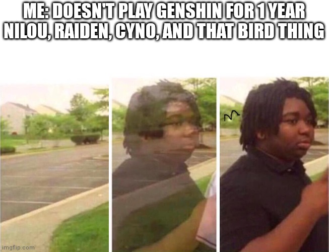 Visibility | ME: DOESN'T PLAY GENSHIN FOR 1 YEAR
NILOU, RAIDEN, CYNO, AND THAT BIRD THING | image tagged in visibility | made w/ Imgflip meme maker