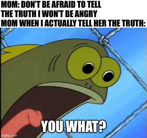 You what?! |  MOM: DON’T BE AFRAID TO TELL THE TRUTH I WON’T BE ANGRY 
MOM WHEN I ACTUALLY TELL HER THE TRUTH:; YOU WHAT? | image tagged in you what,memes,funny,funny memes,relatable,mom | made w/ Imgflip meme maker