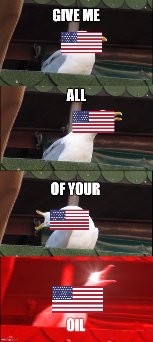 Literally America: | GIVE ME; ALL; OF YOUR; OIL | image tagged in memes,inhaling seagull | made w/ Imgflip meme maker