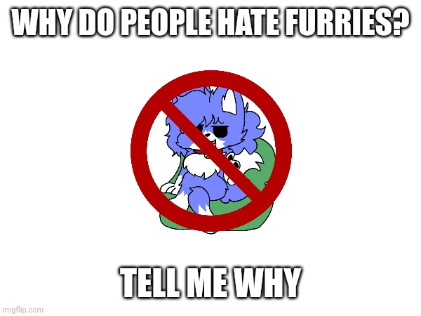 Why do people hate Furries? | WHY DO PEOPLE HATE FURRIES? TELL ME WHY | image tagged in furry,furries,anti furry | made w/ Imgflip meme maker