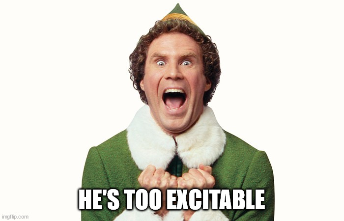 Buddy the elf excited | HE'S TOO EXCITABLE | image tagged in buddy the elf excited | made w/ Imgflip meme maker