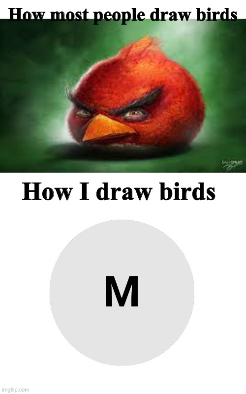 How relatable | How most people draw birds; How I draw birds | image tagged in blank white template,relatable,drawings,memes,funny,m | made w/ Imgflip meme maker