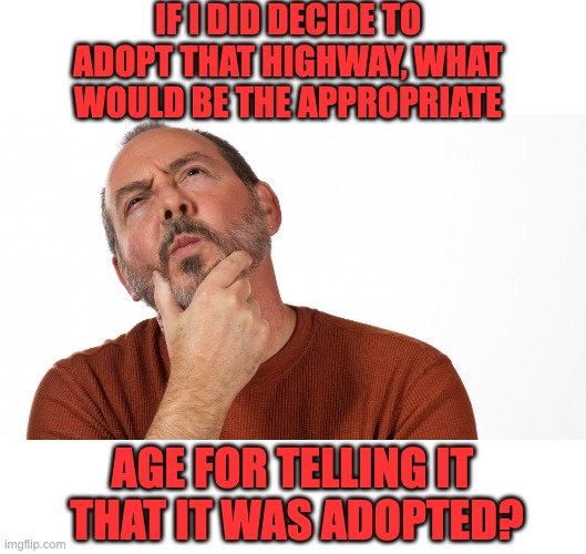 Adopted | IF I DID DECIDE TO ADOPT THAT HIGHWAY, WHAT WOULD BE THE APPROPRIATE; AGE FOR TELLING IT  THAT IT WAS ADOPTED? | image tagged in hmmm,dad joke | made w/ Imgflip meme maker