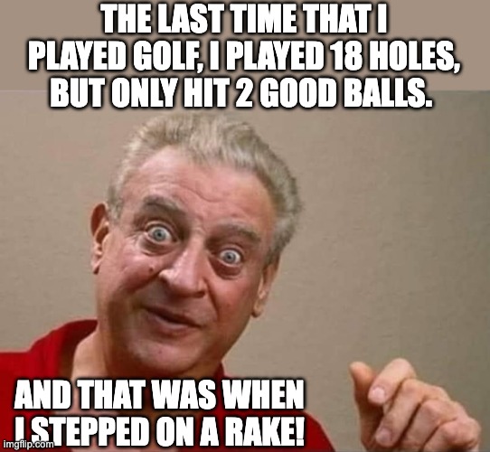 Golf | THE LAST TIME THAT I PLAYED GOLF, I PLAYED 18 HOLES, BUT ONLY HIT 2 GOOD BALLS. AND THAT WAS WHEN I STEPPED ON A RAKE! | image tagged in rodney dangerfield | made w/ Imgflip meme maker