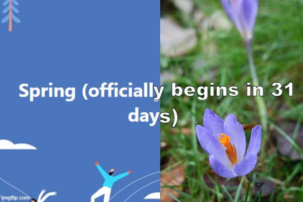 Who's counting? | y begins in 31; s) | image tagged in spring,winter,solstice,hope | made w/ Imgflip meme maker