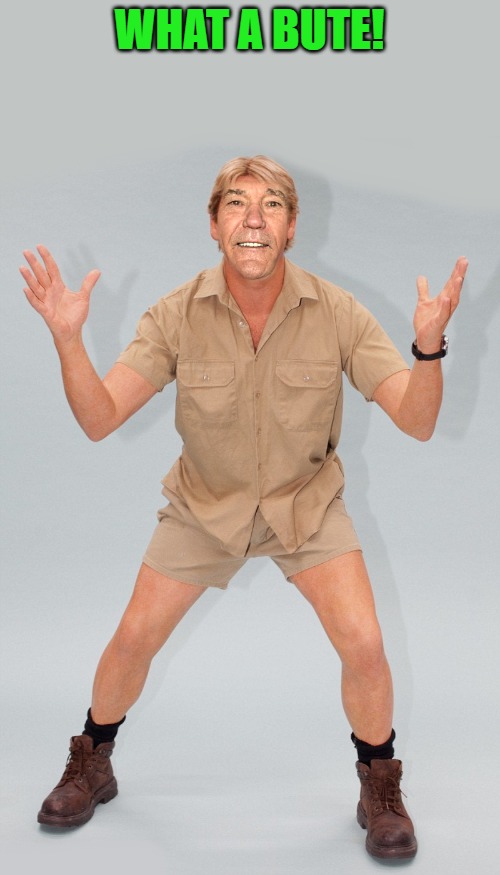 kewlew | WHAT A BUTE! | image tagged in kewlew | made w/ Imgflip meme maker