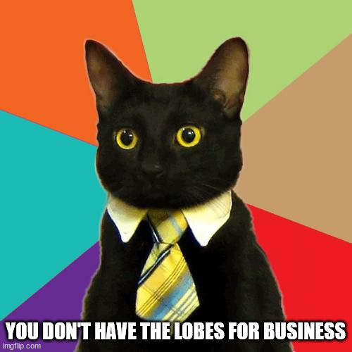 You don't have the lobes for business |  YOU DON'T HAVE THE LOBES FOR BUSINESS | image tagged in memes,business cat,ears,oh wow are you actually reading these tags | made w/ Imgflip meme maker