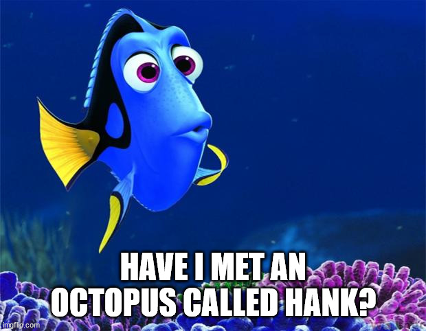 Dory | HAVE I MET AN OCTOPUS CALLED HANK? | image tagged in dory | made w/ Imgflip meme maker