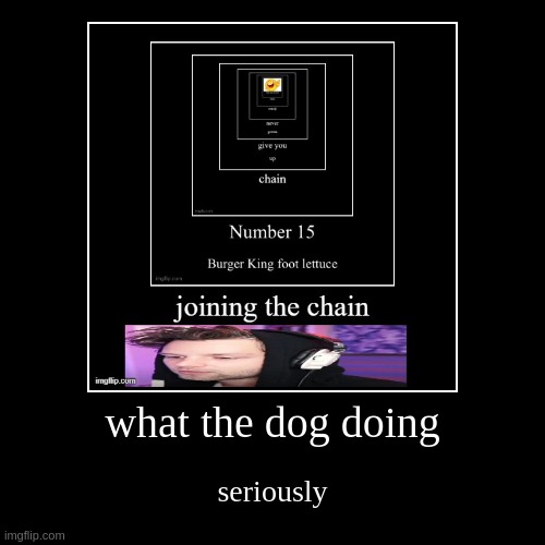 image tagged in funny,demotivationals | made w/ Imgflip demotivational maker