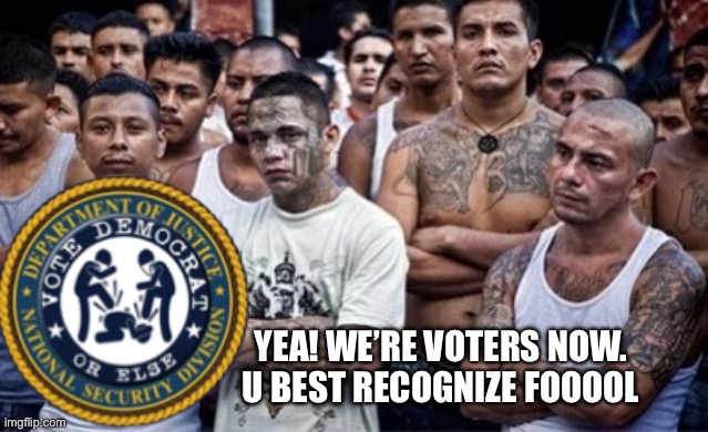 Yea foool | YEA! WE’RE VOTERS NOW.
U BEST RECOGNIZE FOOOOL | image tagged in the new democrats,memes | made w/ Imgflip meme maker