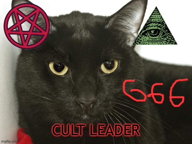 Animal shelters, baby, parents, overpopulation, cats, dogs eutha | CULT LEADER | image tagged in animal shelters baby parents overpopulation cats dogs eutha | made w/ Imgflip meme maker