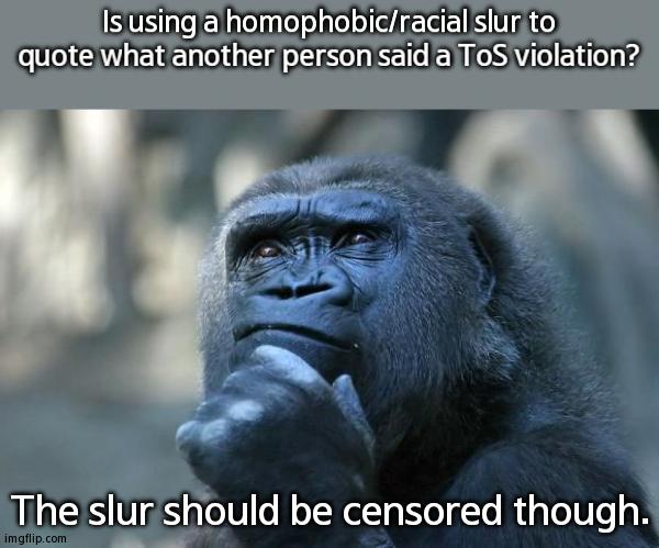 I Understand If It Was Used To Harass Someone Or In An Offensive Manner, But What If It Was Not Used Like That? | Is using a homophobic/racial slur to quote what another person said a ToS violation? The slur should be censored though. | image tagged in deep thoughts | made w/ Imgflip meme maker
