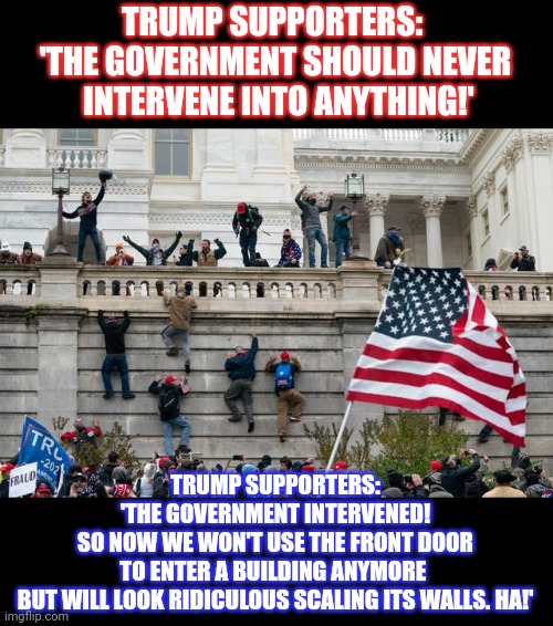 Will Trump supporters ever make up their minds? | TRUMP SUPPORTERS: 
'THE GOVERNMENT SHOULD NEVER
 INTERVENE INTO ANYTHING!'; TRUMP SUPPORTERS:
'THE GOVERNMENT INTERVENED!
SO NOW WE WON'T USE THE FRONT DOOR
TO ENTER A BUILDING ANYMORE 
BUT WILL LOOK RIDICULOUS SCALING ITS WALLS. HA!' | image tagged in maga,capitol hill,indecisive,think about it | made w/ Imgflip meme maker