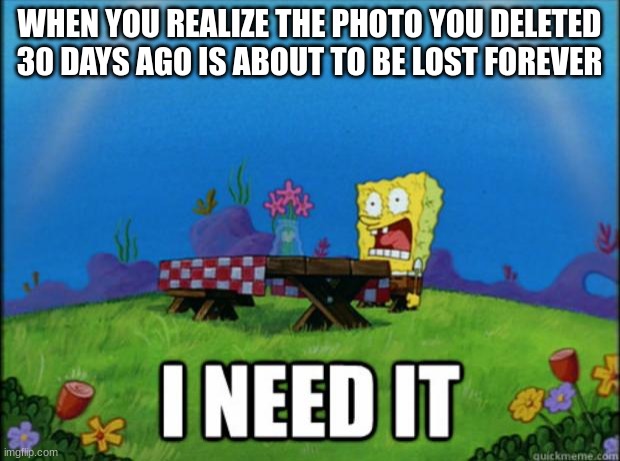 yes | WHEN YOU REALIZE THE PHOTO YOU DELETED 30 DAYS AGO IS ABOUT TO BE LOST FOREVER | image tagged in spongebob i need it | made w/ Imgflip meme maker