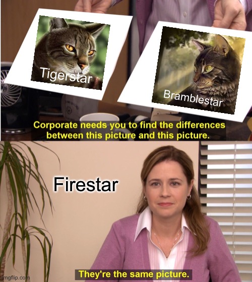 They are the same picture | Tigerstar; Bramblestar; Firestar | image tagged in memes,they're the same picture,warrior cats | made w/ Imgflip meme maker