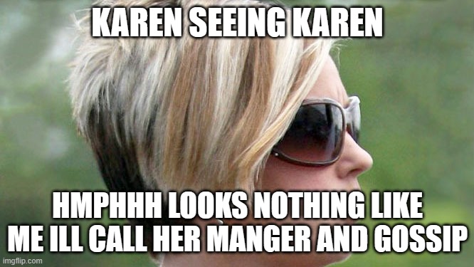 Karen | KAREN SEEING KAREN; HMPHHH LOOKS NOTHING LIKE ME ILL CALL HER MANGER AND GOSSIP | image tagged in karen | made w/ Imgflip meme maker