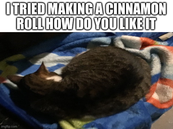 Cinnamon roll cat | I TRIED MAKING A CINNAMON ROLL HOW DO YOU LIKE IT | image tagged in cat,cinnamon roll cat | made w/ Imgflip meme maker