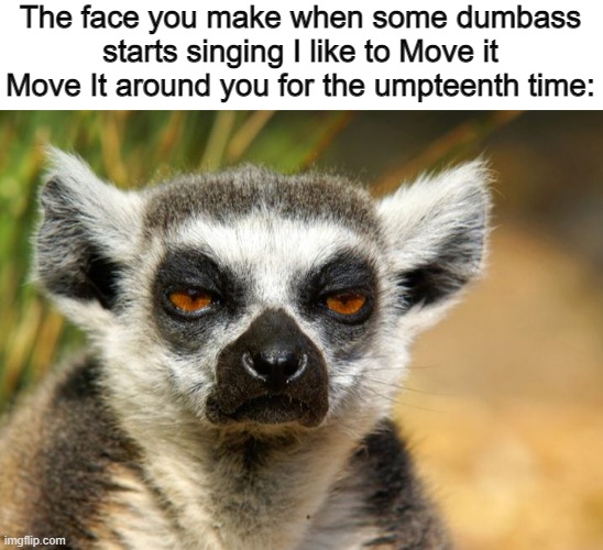 I hate that too. | The face you make when some dumbass starts singing I like to Move it Move It around you for the umpteenth time: | image tagged in lemur,memes | made w/ Imgflip meme maker