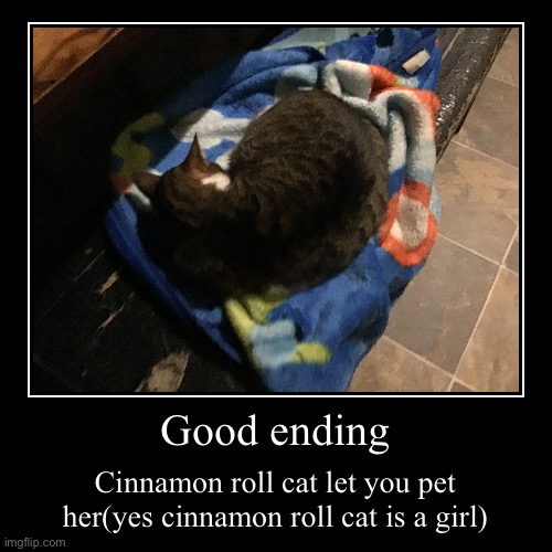 image tagged in funny,demotivationals,cinnamon roll cat | made w/ Imgflip demotivational maker