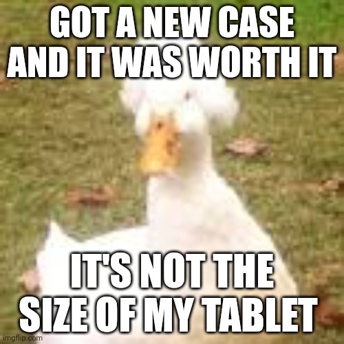 The royal duck | GOT A NEW CASE AND IT WAS WORTH IT; IT'S NOT THE SIZE OF MY TABLET | image tagged in the royal duck | made w/ Imgflip meme maker