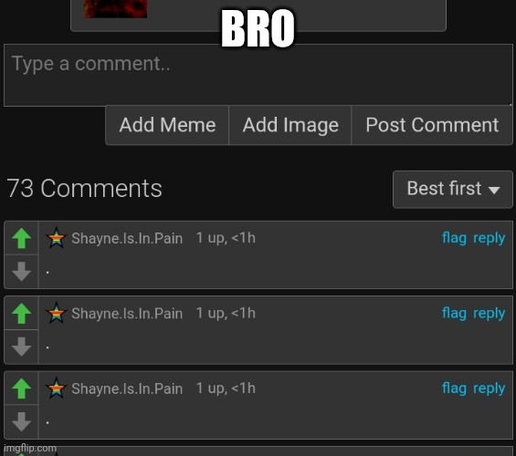 73 comments | BRO | made w/ Imgflip meme maker
