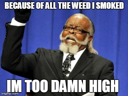 Too Damn High Meme | BECAUSE OF ALL THE WEED I SMOKED IM TOO DAMN HIGH | image tagged in memes,too damn high | made w/ Imgflip meme maker