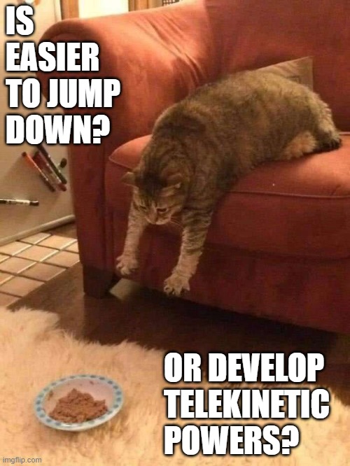 IS EASIER TO JUMP DOWN? OR DEVELOP TELEKINETIC POWERS? | image tagged in cat,food,lazy | made w/ Imgflip meme maker