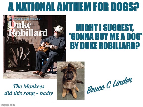 National Anthem | A NATIONAL ANTHEM FOR DOGS? The Monkees did this song - badly | image tagged in dogs,national anthem,duke robillard | made w/ Imgflip meme maker
