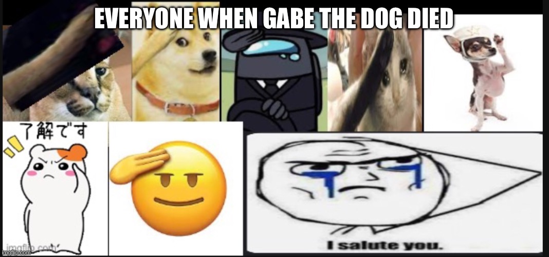 Mega salute | EVERYONE WHEN GABE THE DOG DIED | image tagged in mega salute | made w/ Imgflip meme maker