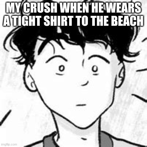 heARTSTOPPER GAY | MY CRUSH WHEN HE WEARS A TIGHT SHIRT TO THE BEACH | image tagged in heartstopper gay | made w/ Imgflip meme maker