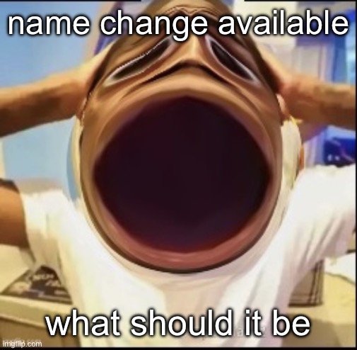 Really shocked black guy | name change available; what should it be | image tagged in really shocked black guy | made w/ Imgflip meme maker