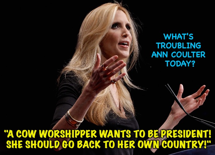 She's on the outs with Trump and now she hates Haley. | WHAT'S 
TROUBLING 
ANN COULTER 
TODAY? "A COW WORSHIPPER WANTS TO BE PRESIDENT!  SHE SHOULD GO BACK TO HER OWN COUNTRY!" | image tagged in ann coulter | made w/ Imgflip meme maker