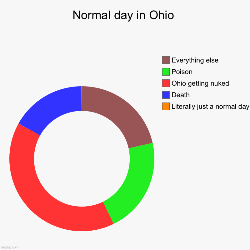Normal day in Ohio | Literally just a normal day, Death, Ohio getting nuked, Poison, Everything else | image tagged in charts,donut charts | made w/ Imgflip chart maker