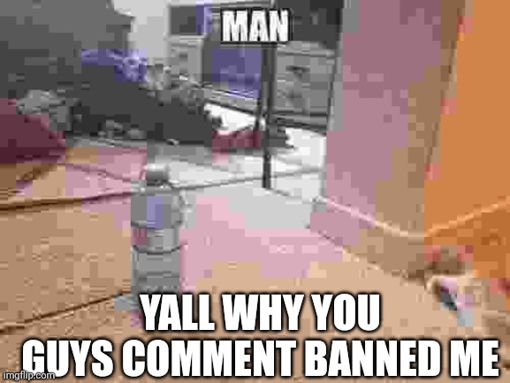 Man | YALL WHY YOU GUYS COMMENT BANNED ME | image tagged in man | made w/ Imgflip meme maker