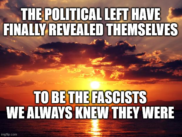 Sunset | THE POLITICAL LEFT HAVE FINALLY REVEALED THEMSELVES; TO BE THE FASCISTS WE ALWAYS KNEW THEY WERE | image tagged in sunset | made w/ Imgflip meme maker