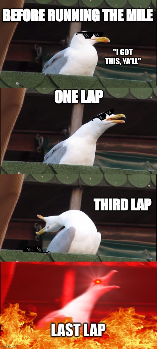 Running the mile be like: | BEFORE RUNNING THE MILE; "I GOT THIS, YA'LL"; ONE LAP; THIRD LAP; LAST LAP | image tagged in memes,inhaling seagull | made w/ Imgflip meme maker