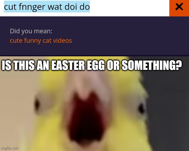 Cute funny cat videos - ? | IS THIS AN EASTER EGG OR SOMETHING? | image tagged in bird like a dino,did you mean | made w/ Imgflip meme maker